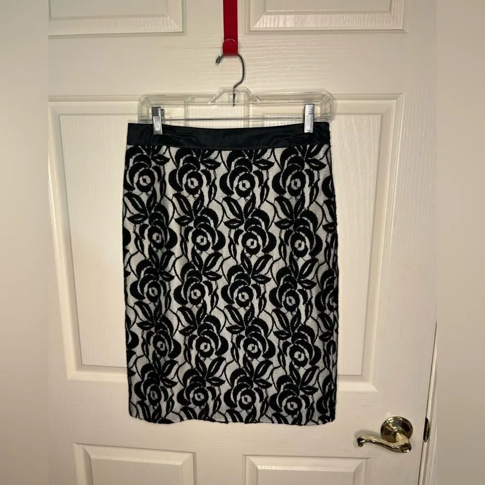 Ann Taylor skirt
